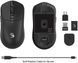 Миша бездротова Bloody R72 Pro Black, Black