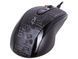Миша A4Tech F5 Black V-Track, Black, Ігрова, Дротова, 7, USB, 3000, 1.80 м, Пластик, 122 &times; 69 &times; 39 мм, Ергономічний для правої руки, Оптичний
