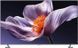 Телевізор Xiaomi TV S Mini LED 65 2026, 65", Smart TV, Wi-Fi, DVB-T2, Dolby Vision, AirPlay, HDR10+, Dolby Atmos, Google Cast, QD-Mini LED, QD-Mini LED, Google TV, 60 Гц