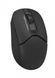 Миша бездротова A4Tech FB12 Black USB, Black