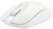 Миша бездротова A4Tech FB12S White