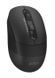 Миша бездротова A4Tech FB10C Stone Black USB