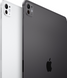 Планшет Apple iPad Pro 13 (2024) WIFI 512Gb Silver