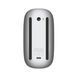 Мишка Apple Magic Mouse Multi-Touch Surface White (MXK53ZM/A)