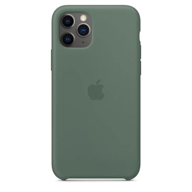 Накладка iPhone 11 Pro ORIGINAL Pine Green